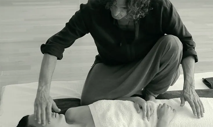 sesiones healing feeling ayurveda   